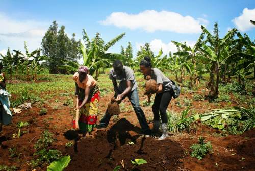 Volunteers on environment project in Rwanda
