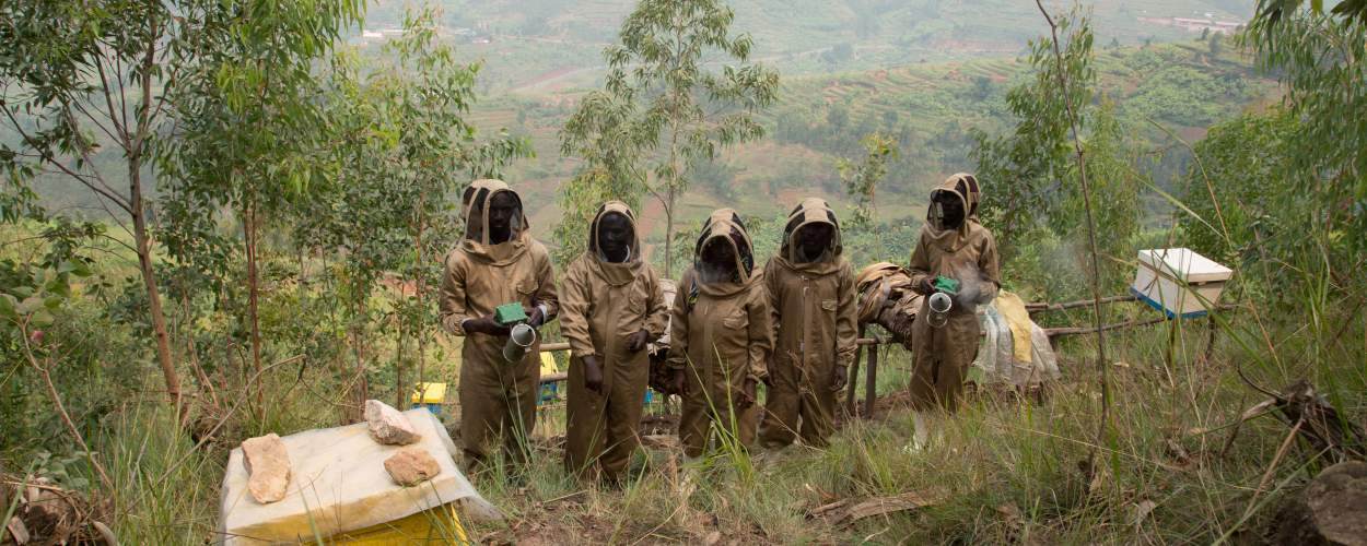 honey makers